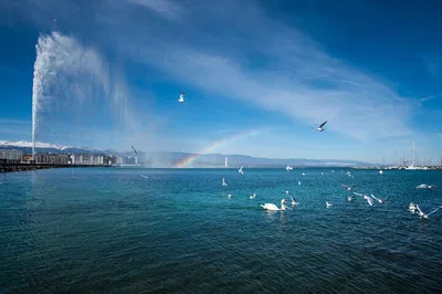 Geneva's Secrets: Walking Tour, Jet d'Eau & Cruise!