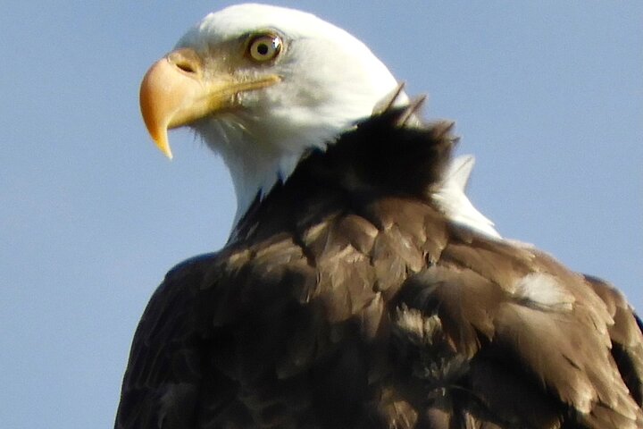 Experience Image img3