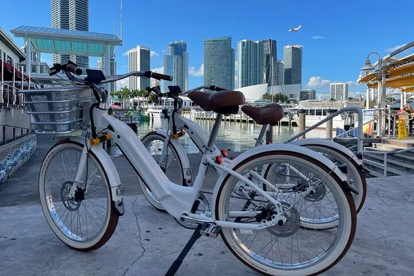 Miami Beach E-Bike Adventure: Explore Wynwood & Beyond!