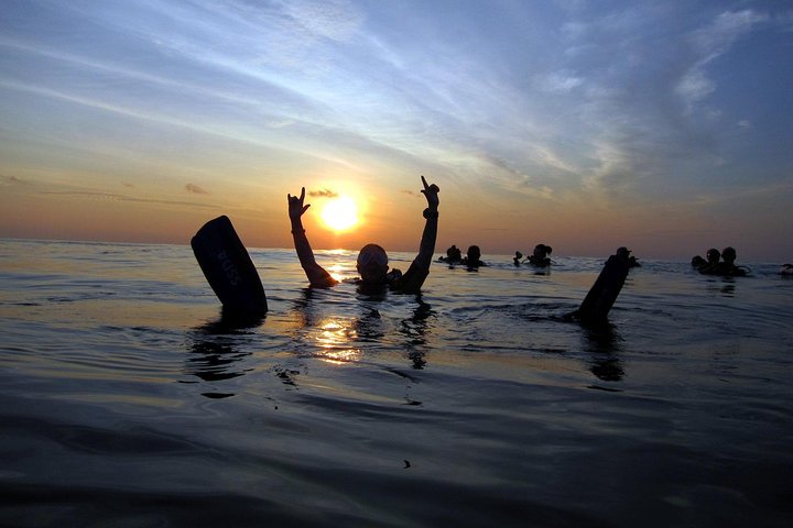 Kata Beach Night Dive: Explore Phuket's Underwater World After Dark