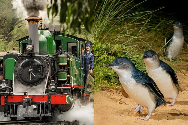 Melbourne Adventure: Puffing Billy & Penguin Parade Extravaganza!