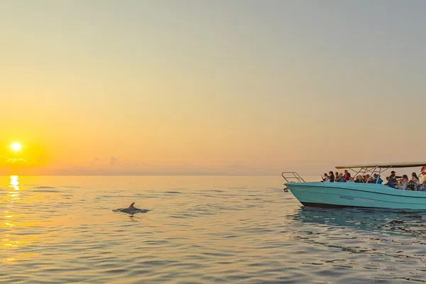 Magical Mallorca: Exclusive Dolphin Encounters at Sunrise