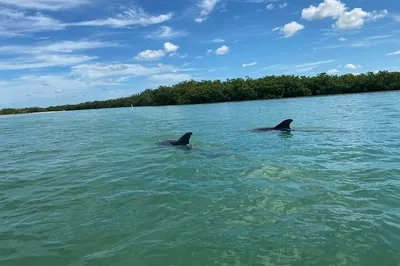 Explore Big Hickory Pass: Kayak Adventure Through Mangrove Wonders