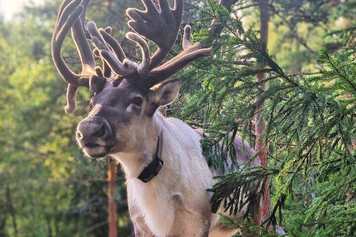 Experience Image img3