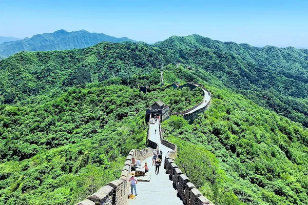 Seamless Beijing Exploration: Private Great Wall Tour from Tianjin Cruise Port