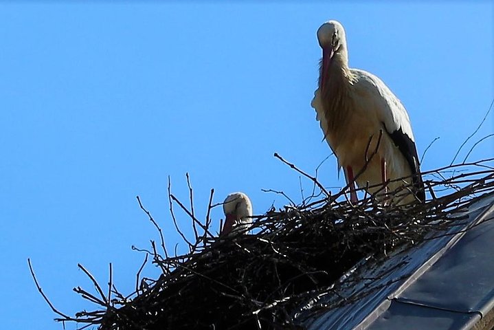 Experience Image img4