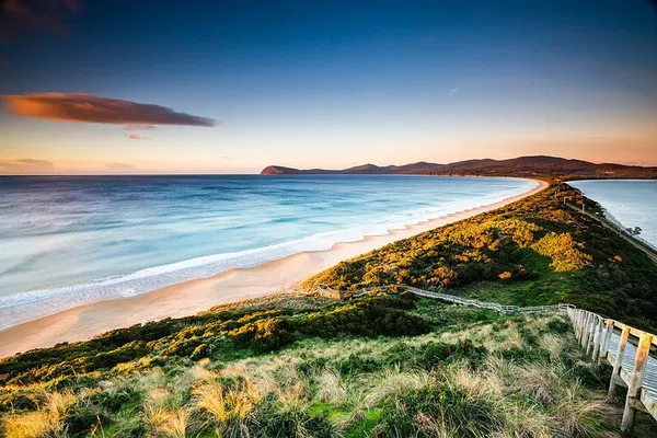 Bruny Island Tour: See Wildlife & Gourmet Treats!