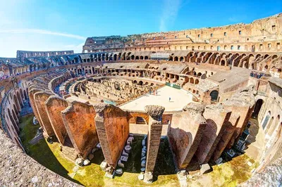 Colosseum, Roman Forum & Palatine Hill Tour: Skip-the-Line!