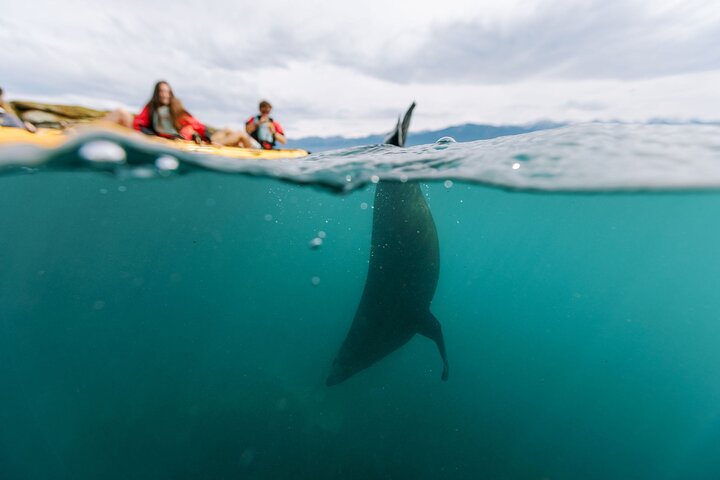 Experience Image img3