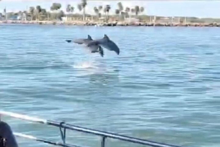 Experience Image img3