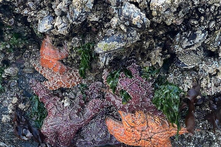 Experience Image img1