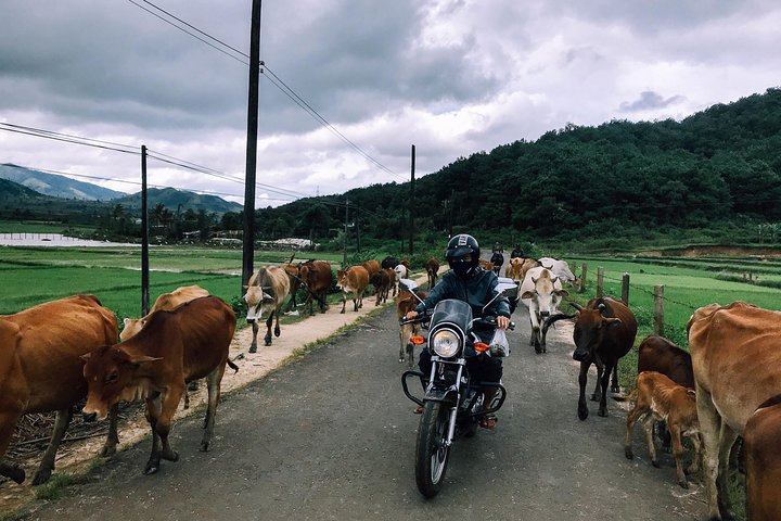 Experience Image img2