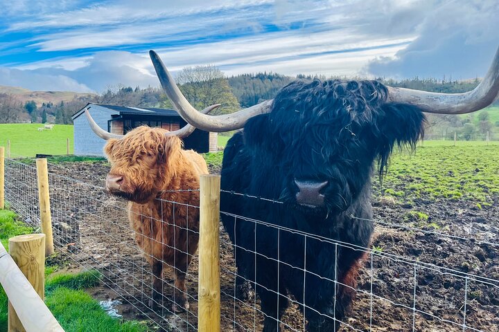 Experience Image img2