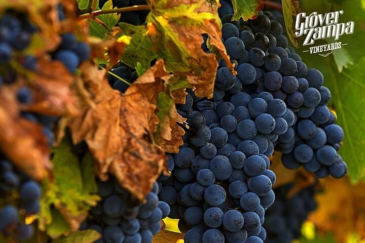 Experience Image img4