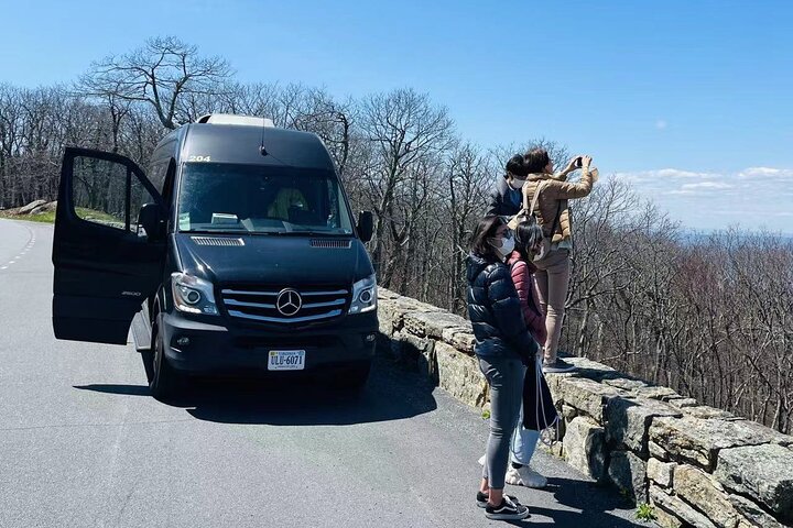 Experience Image img4