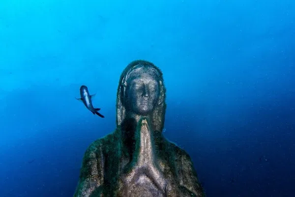 Punta Campanella Double Dive: Explore Capri's Underwater World