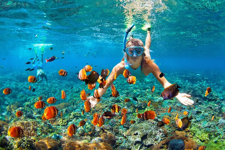 Coral Island Escape: Phuket's Tropical Paradise Awaits!