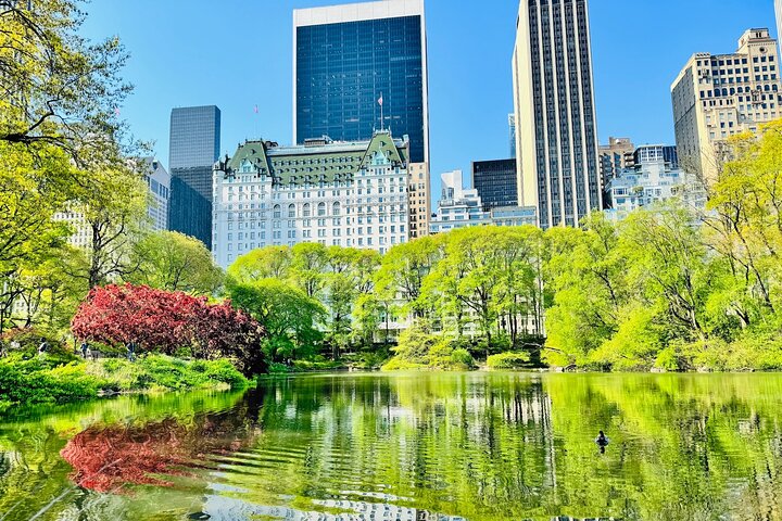 Experience Image img4