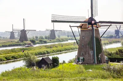 Hague to Kinderdijk, Gouda & Castle Private Tour