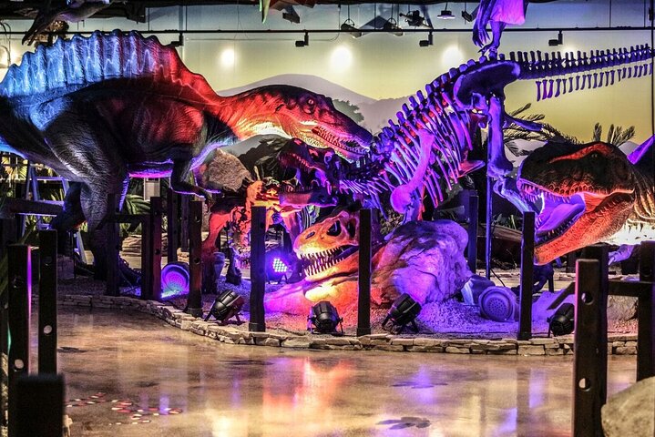 Experience Image img3