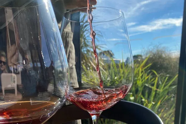 Martinborough Private Wine Tour: Taste & Learn!