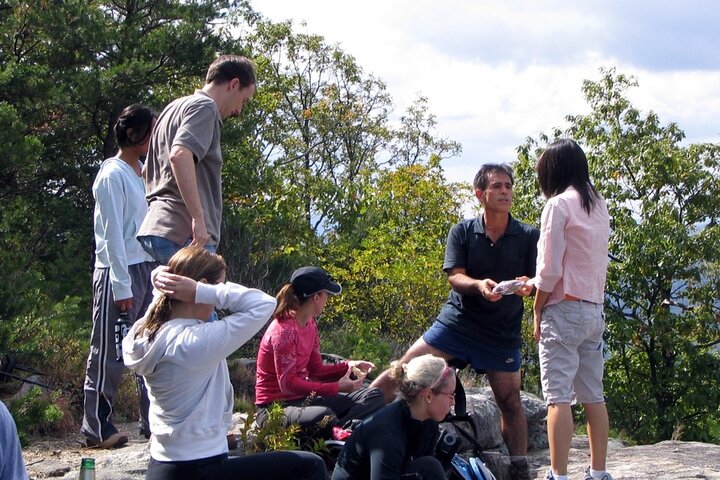 Experience Image img3