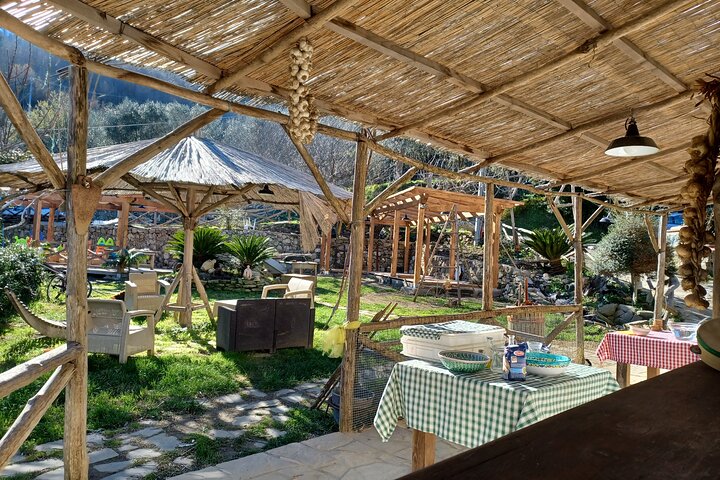 Experience Image img2