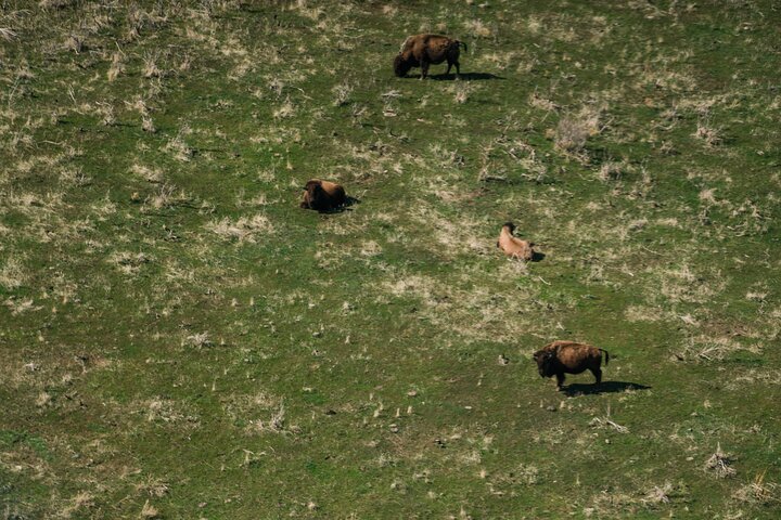 Experience Image img3