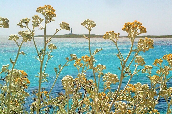 Experience Image img1