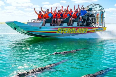 Miami Everglades Adventure: Airboat Ride, Gator Show & Wildlife Spectacle!