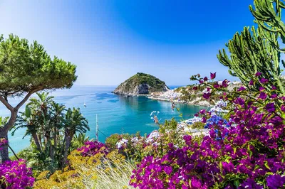 Discover Ischia's Charms: An Unforgettable Island Bus Tour