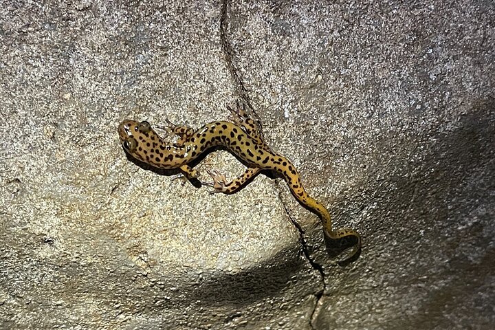 Experience Image img3