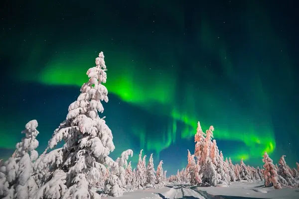 Lapland Winter Journey: See Northern Lights!