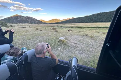Elk Rut Tour: Witness Mating Season in Rocky Mountain National Park