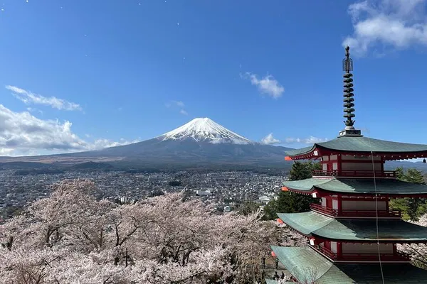 Mt. Fuji, Lake Cruise & Noodles!