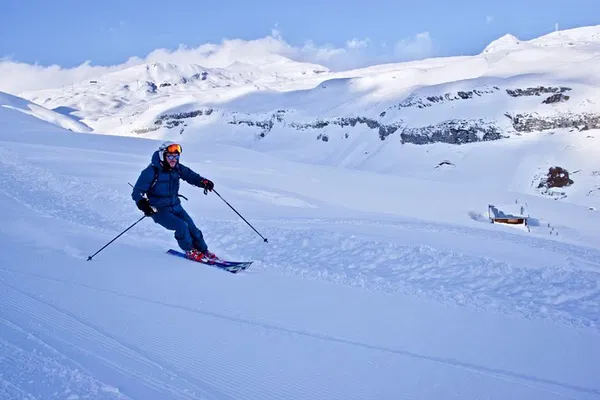 Elevate Your Skiing: Private Lucerne Instructor with Transport!