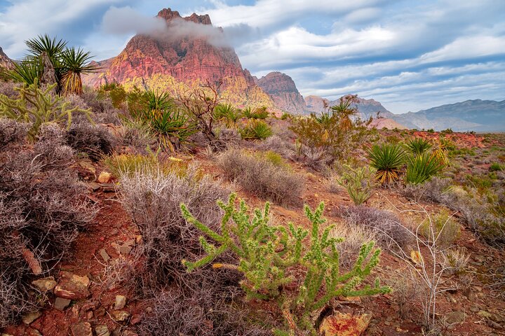 Experience Image img3