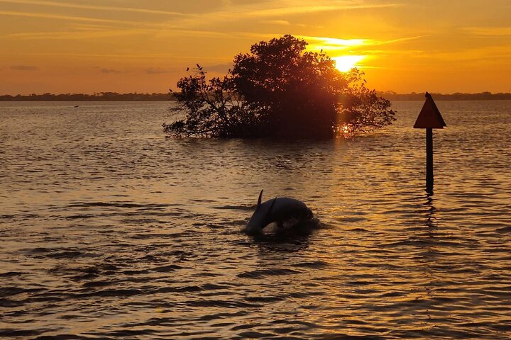 Experience Image img1