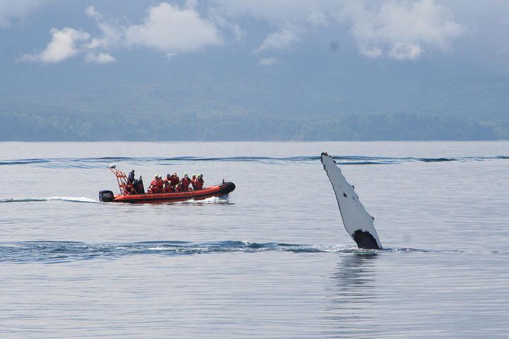 Experience Image img2