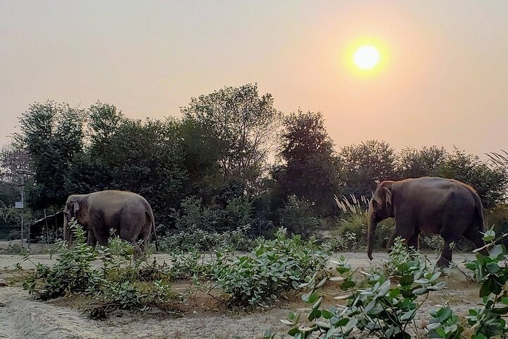 Experience Image img3