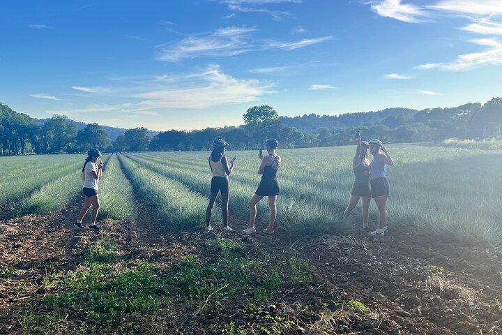 Experience Image img4