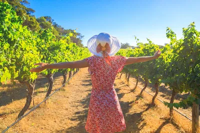 Sirmione & Lugana Wine Tour: A Taste of Lake Garda's Charm