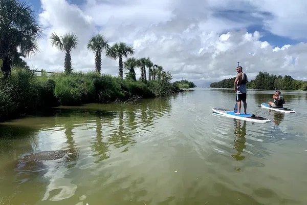 Haulover Canal Wildlife Adventure: Kayak with Dolphins & Manatees at Sunset!