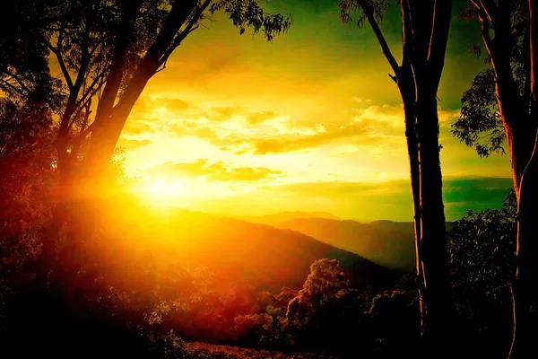 Blue Mountains Twilight Adventure: Day, Sunset & Glow Worm Spectacle