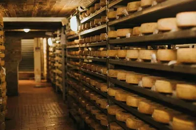 Guffanti Cheese Cellar: An Underground Italian Cheese Adventure