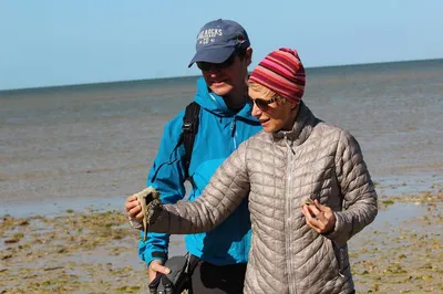 Everglades Expedition: A Wildlife Boating & Island Adventure