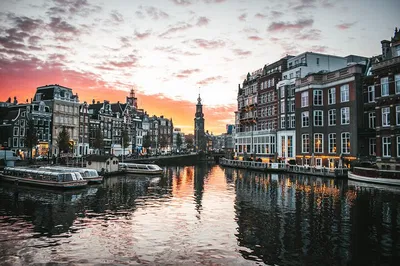 Amsterdam Day Trip: Cheese, Clogs & Windmills Adventure from Brussels