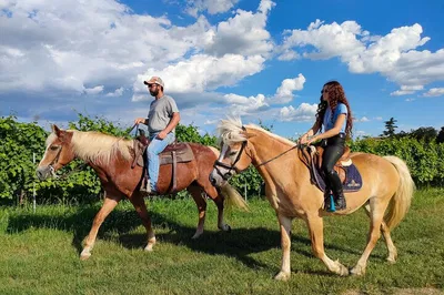 Garda: Horseback Ride & Wine Tasting Adventure