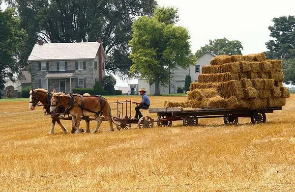 Uncover Amish Heritage: A SuperSaver Journey in Lancaster!