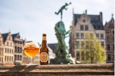Antwerp BeerWalk (French): History & Brews!